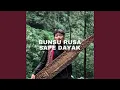 Download Lagu BUNSU RUSA SAPE DAYAK