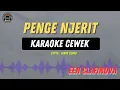 Download Lagu PENGEN NJERIT SEJERONE BANYU - ( KARAOKE RAMPAK CEWEK ) EEN CLAFINOVA TARLING LAWAS VIRAL