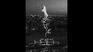 احمد كامل               بنتمني نعيش لما نبيع الوحده لو ببلاش دندنها