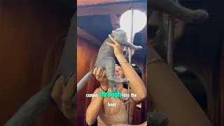 Days in the boatyard #letsgosailing