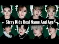 Stray Kids Members Real Names and Ages 22 All About Celebs
