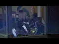 Edward Simon - Chant -feat. Gretchen Parlato