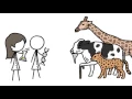 Can Math Explain How Animals Get Their Patterns