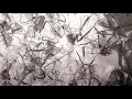 M83 - Wait 1 hour music