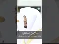 Download Lagu Beautiful Al Adiyat Recitation Sheikh Yasser Dossary