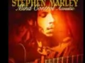 Stephen Marley - Chase dem