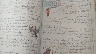 حل تدريبات العندليب و الإمبراطور للصف الخامس الفصل الأول عربي كامل 