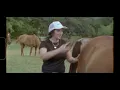 Bayker Blankenship - Everything She Does (Official Music Video)