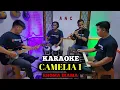 Download Lagu CAMELIA 1 KARAOKE RHOMA IRAMA NADA COWOK