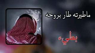 ماطيرته طار بروحه  دندنها