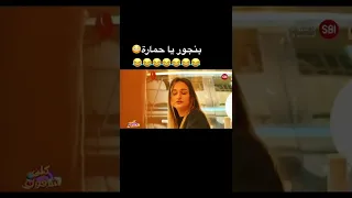 بونجور يا حمارة  بونجور يا حمارة
