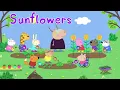 Peppa Pig - Bing Bong Garden Song (Official Music Video)