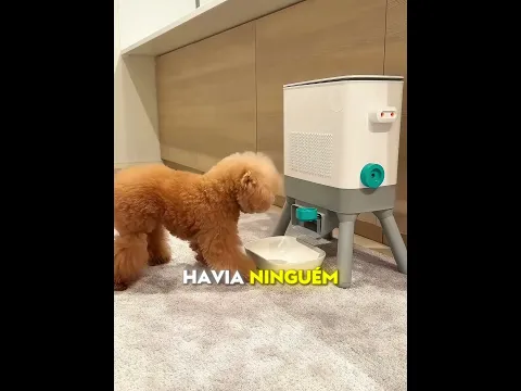 O poodle reabasteceu sua máquina 🐩