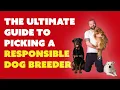 The Ultimate Guide To Choosing A Dog Breeder