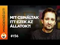 Lagu Dr. Ősi Attila: Mit csináltak itt ezek az állatok?! | Mindenségit! 156