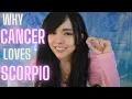CANCER AND SCORPIO LOVE COMPATIBILITY SYNASTRY What s the connection like