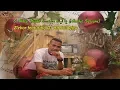 Download Lagu O Holy Night (Arabic Version) يا ليلة مقدسة - Zlebor \u0026 DJ Hackologica (Official Lyric Video)