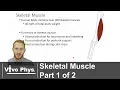 Skeletal Muscle Part 1 of 2 - Overview and Fiber Types