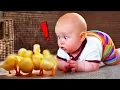 Download Lagu Baby on the Farm: Unforgettable Reactions to Barnyard Animals in 1 Hilarious Video