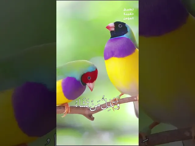 ⁣#دعاء_الصباح إِنَّكَ قَادِر عَلَى مَا تَشَاء تُؤتِي الملكَ مَن تَشَاء وَتَنزِع المُلكَ مِمَّن تَشَاء