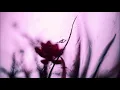 Download Lagu Skeler - One Day [SLOWED]