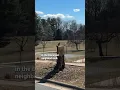 Thousands remain without power after winds slam DC area