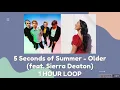 5 Seconds of Summer - Older (feat. Sierra Deaton) [1 hour loop]