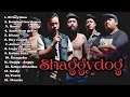 Lagu SHAGGYDOG FULL ALBUM | KUMPULAN LAGU TERBAIK