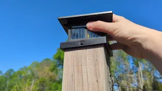 You Must See How Bright Beautiful These Solar Post Cap Lights Are