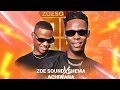 ZOE SOUND - YA TANDE MIXTAPE 2025 ft SHEMA x RIDYTILEZANYY 