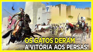 A Batalha de Pelúsio uma Vitória Persa Decidida por Gatos