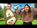 Download Lagu CELINE VERRASSEN MET EEN PUPPY! 🐶 #236