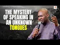 THE MYSTERY OF SPEAKING IN AN UNKNOWN TONGUES | APOSTLE JOSHUA SELMAN