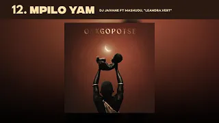 mpilo yam dj jaivane ft mashudu u0026 leandra vert audio visualizer 
