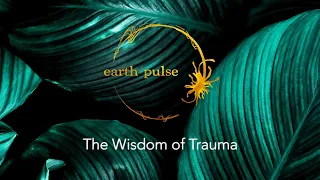 the wisdom of trauma