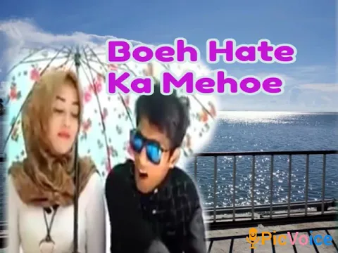 Download MP3 Boeh Hate Ka Mehoe ♡♡ BOEH HATE KA MEHOE