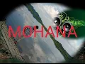 Download Lagu Lagu Buton Mohana || Lirik