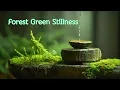 Download Lagu Forest Green Stillness – Meditation Instrumental | Atmospheric Tones, Calming Flow (No Rhythm)