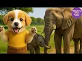 Download Lagu Baby Puppy Ginger’s Big Safari Adventure 🐘🦒🐾 Full of Laughs \u0026 Joy ❤️| Parents Day with Papa ❤️
