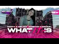Download Lagu WHAT IT IS OTNAIRA STYLE ||DJ WHAT IT IS PARTY X MELODY VIRAL KARNAVAL 2024