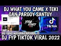 Download Lagu DJ what you came x teki gan pargoy santuy DJ FYP di viral Tik tok yang kalian cari2