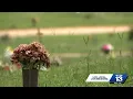 Woman s final resting place remains unknown years after burial at Zion Memorial Gardens