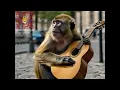 Download Lagu monyet si pengamen jalanan #monkey #funnyanimals #monyet #ai #cuteanimals #viralvideo #fyp #pengamen