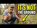 Find 10x More Morels Using The OLD LOGGER S WAY