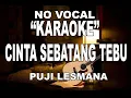 Download Lagu CINTA SEBATANG TEBU, PUJI LESMANA, KARAOKE
