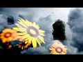 Precept Upon Precept - Symphony of Life
