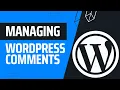 How To Manage Your Comments In WordPress WordPress Masterclass Part 13