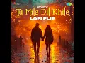 Tu Mile Dil Khile - LoFi Flip