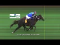 Tampa Bay Downs Live Stream