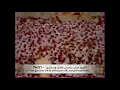 Download Lagu Surah Al Insan (The Man) [with English Translation] by Ali Jaber علي جابر